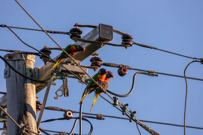 Linie energetyczne - projekt modernizacji